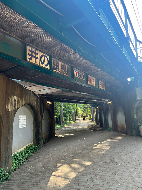 BLOG D坊の日記 【23年06月6日】神田川探訪:井の頭線