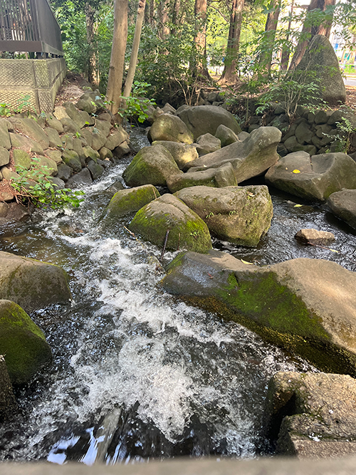 BLOG D坊の日記 【23年06月6日】神田川探訪:水門橋周辺