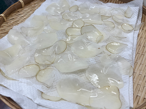 BLOG D坊の日記 【24年08月13日】園芸部 ジャガイモとバジル収穫